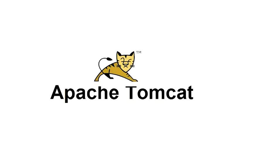 黑猫tom加速器最新版