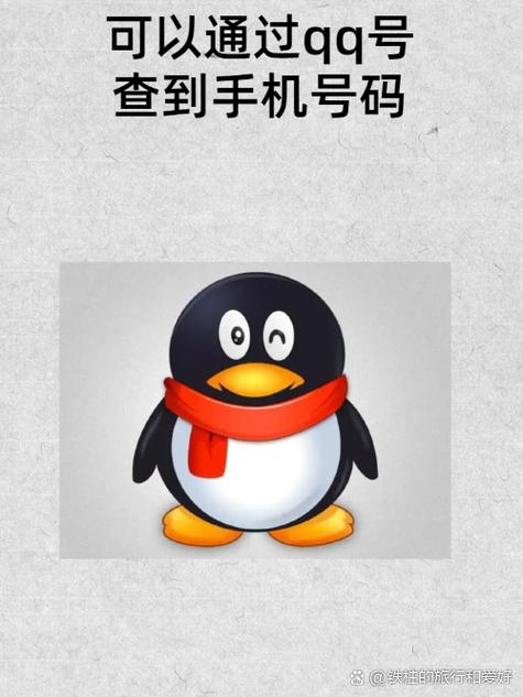qq抓包查ip工具手机版
