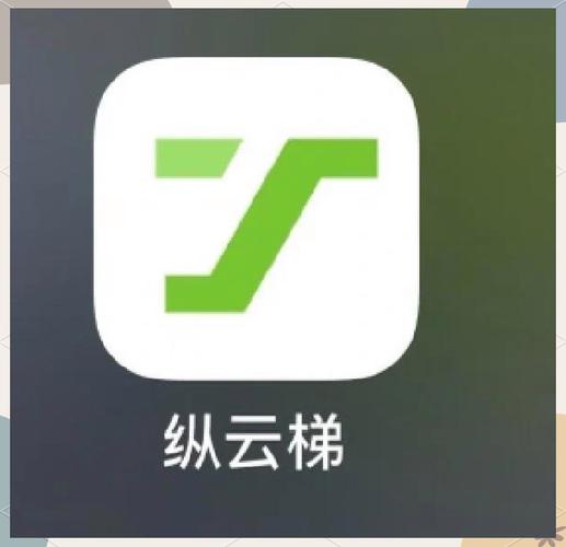 云梯加速器NPV缩略图