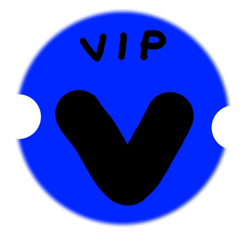 火车站vip破解版