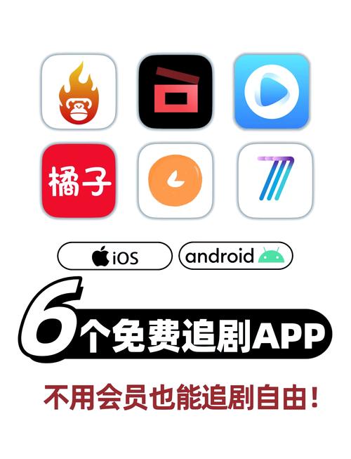 追看视频手机版