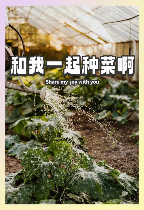 跟我一起来种菜3