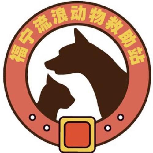 动物救援