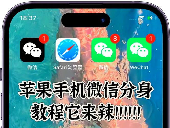 苹果微信分身版ios下载安装图标