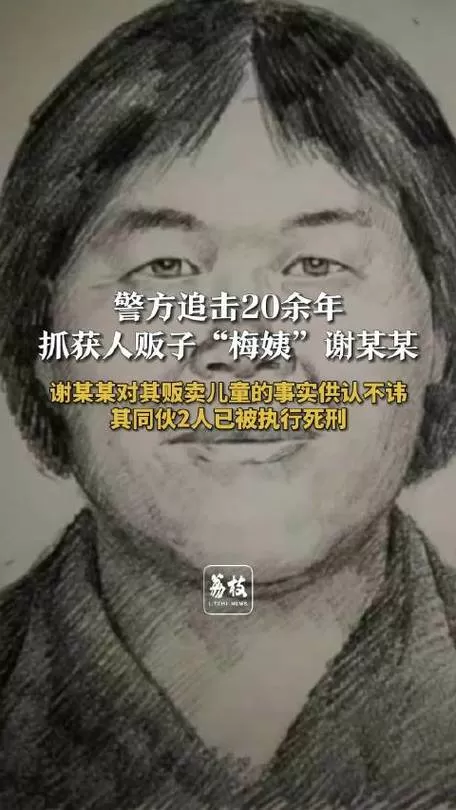 梅姨案同伙2人已被执行死刑